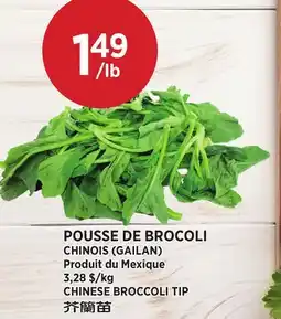 Kim Phat CHINESE BROCCOLI TIP offer