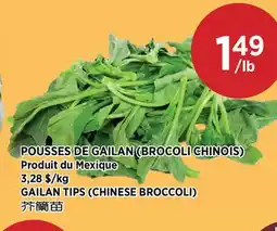 Kim Phat GAILAN TIPS (CHINESE BROCCOLI) offer