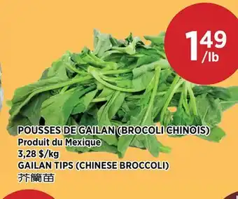 Kim Phat GAILAN TIPS (CHINESE BROCCOLI) offer