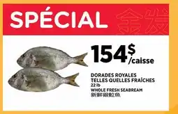 Kim Phat WHOLE FRESH SEABREAM offer
