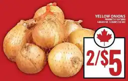 Food Basics Yellow Onions offer