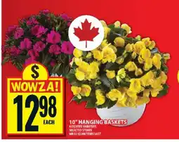 Food Basics 10 Hanging Baskets offer