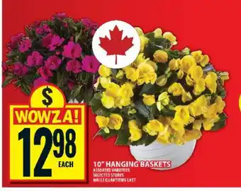 Food Basics 10 Hanging Baskets offer