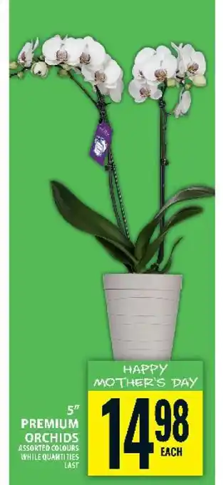 Food Basics Premium Orchids offer
