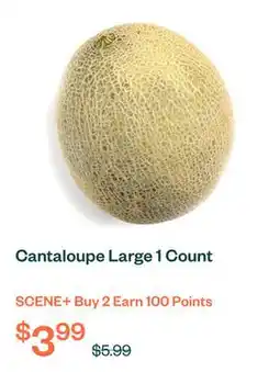 Voilà Cantaloupe Large 1 Count offer