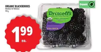 Metro ORGANIC BLACKBERRIES offer