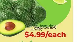 Food World Supermarket Lorem ipsum dolor sit amet, AVOCADO BAG offer