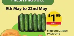 Food World Supermarket MINI CUCUMBER offer