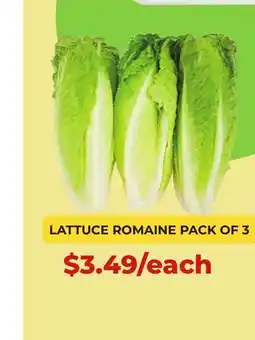 Food World Supermarket LATTUCE ROMAINE PACK OF 3 offer