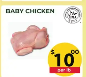 Food World Supermarket BABY CHICKEN offer
