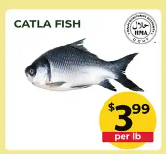 Food World Supermarket CATLA FISH offer