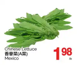 T&T Supermarket CHINESE LETTUCE offer