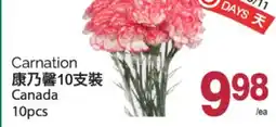 T&T Supermarket CARNATION, 10PCS offer