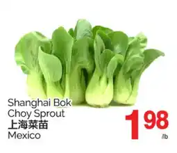 T&T Supermarket SHANGHAI BOK CHOY SPROUT offer
