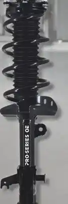 PartSource OE Complete Strut Assemblies and Shocks offer