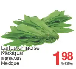 T&T Supermarket LAITUE CHINOISE MEXIQUE offer