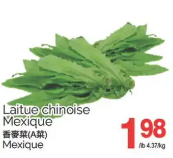 T&T Supermarket LAITUE CHINOISE MEXIQUE offer