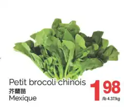 T&T Supermarket PETIT BROCOLI CHINOIS offer