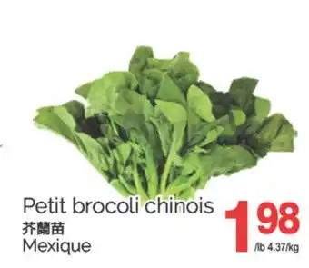 T&T Supermarket PETIT BROCOLI CHINOIS offer