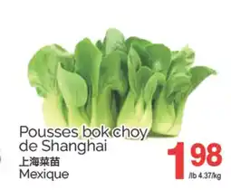 T&T Supermarket POUSSES BOK CHOY DE SHANGHAI offer