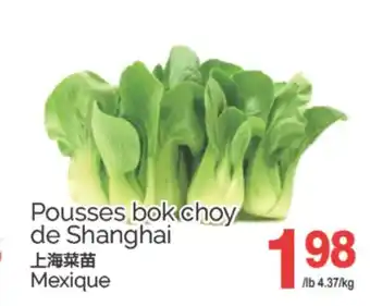 T&T Supermarket POUSSES BOK CHOY DE SHANGHAI offer