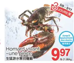 T&T Supermarket HOMARD VIVANT -UNE PINCE offer