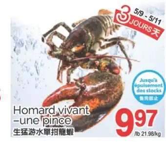 T&T Supermarket HOMARD VIVANT -UNE PINCE offer