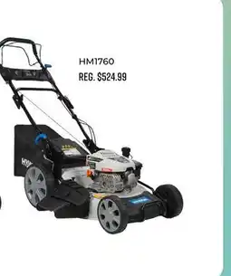 Canex HYUNDAI LAWN MOWERS offer