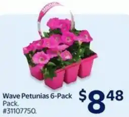 Walmart Wave petunias offer