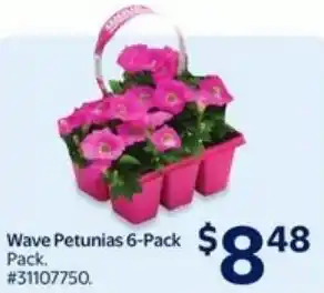 Walmart Wave petunias offer