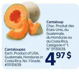 Walmart Cantaloupes offer