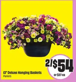 Chalo FreshCo 13 Deluxe Hanging Baskets offer