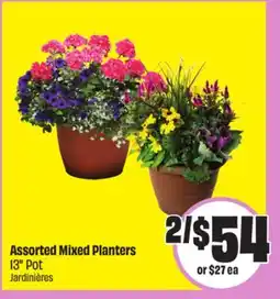 Chalo FreshCo Assorted Mixed Planters 13 Pot offer