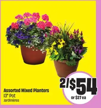 Chalo FreshCo Assorted Mixed Planters 13 Pot offer