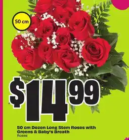 Chalo FreshCo 50 cm Dozen Long Stem Roses with Greens & Baby's Breath Roses 50 cm offer
