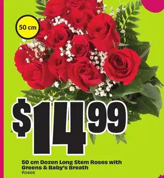 Chalo FreshCo 50 cm Dozen Long Stem Roses with Greens & Baby's Breath Roses 50 cm offer
