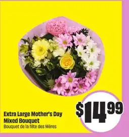 Chalo FreshCo Extra Large Mother's Day Mixed Bouquet offer