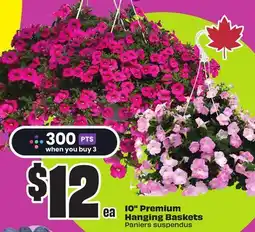 Chalo FreshCo 10 Premium Hanging Baskets offer