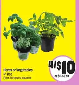 Chalo FreshCo Herbs or Vegetables 4 Pot offer