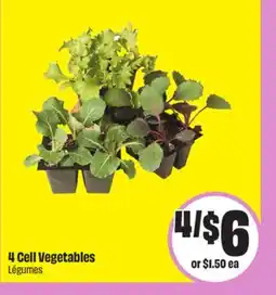 Chalo FreshCo 4 Cell Vegetables offer