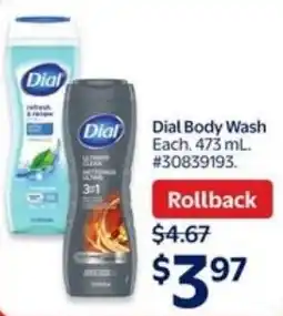 Walmart Dial Body Wash offer