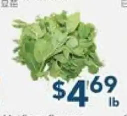 Oceans Fresh Food Market Snow Pea Sprouts offer