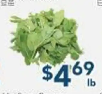 Oceans Fresh Food Market Snow Pea Sprouts offer