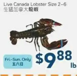 Oceans Fresh Food Market Live Canada Lobster Size 2-6 offer