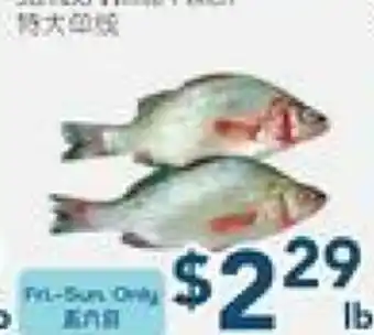 Oceans Fresh Food Market Jumbo White Perch offer