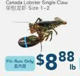 Oceans Fresh Food Market Canada Lobster Single Claw offer