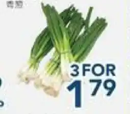 Oceans Fresh Food Market Green Onion offer