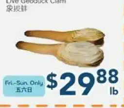 Oceans Fresh Food Market Live Geoduck Clam offer