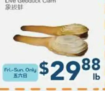 Oceans Fresh Food Market Live Geoduck Clam offer