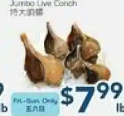 Oceans Fresh Food Market Jumbo Live Conch offer
